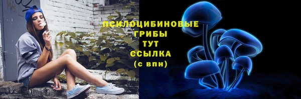 амф Алексеевка