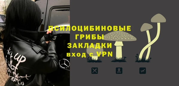 не бодяженный Алексин