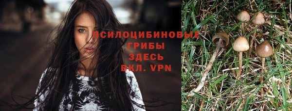не бодяженный Алексин