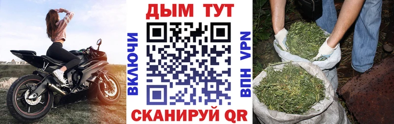 Бошки марихуана SATIVA & INDICA  гидра онион  Камешково  наркотики 